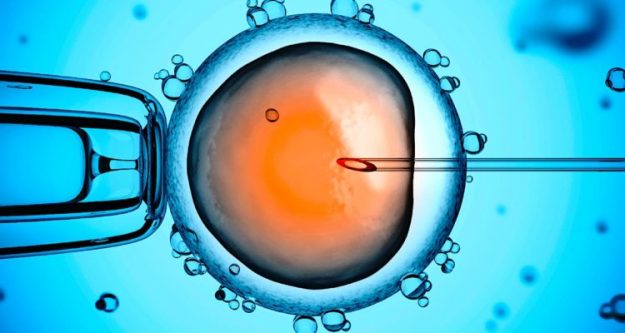 in-vitro