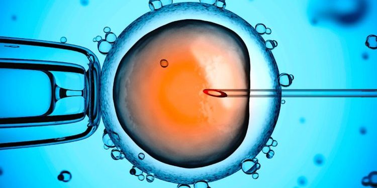 in-vitro